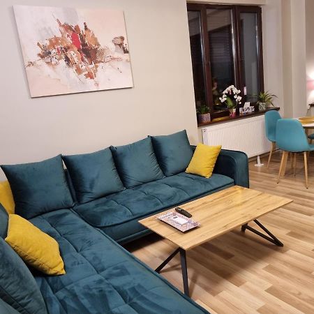 טימישוארה City Inn Premium Apartment מראה חיצוני תמונה