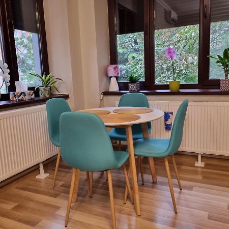 טימישוארה City Inn Premium Apartment מראה חיצוני תמונה