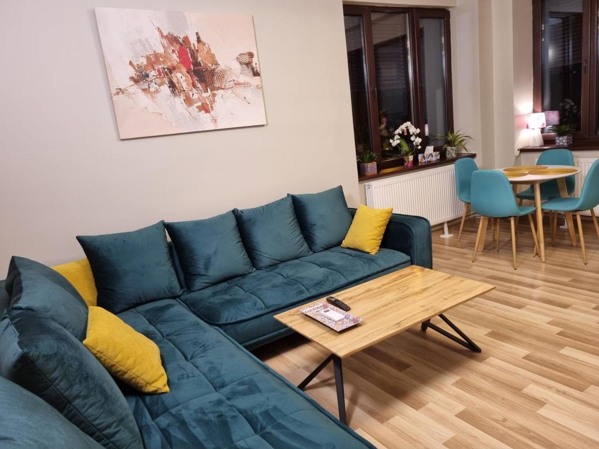 טימישוארה City Inn Premium Apartment מראה חיצוני תמונה