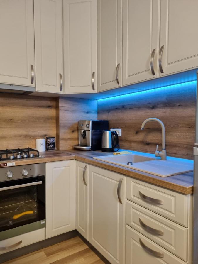 טימישוארה City Inn Premium Apartment מראה חיצוני תמונה