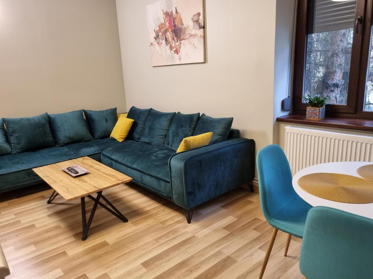 טימישוארה City Inn Premium Apartment מראה חיצוני תמונה